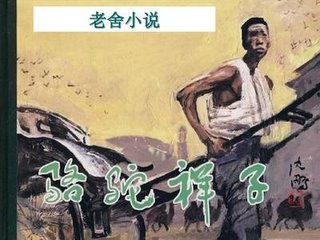 张津瑜 视频